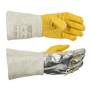 Image de l'article